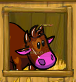 chocolate cow