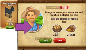 sell black bengal goat