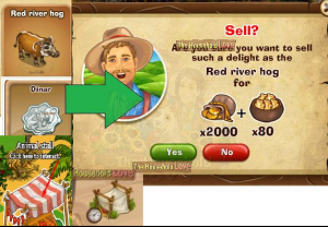 sell red river hog